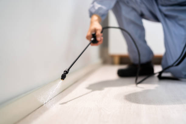 Licensed Cockroach Control service in Benton, IL - Nex Pest Control
