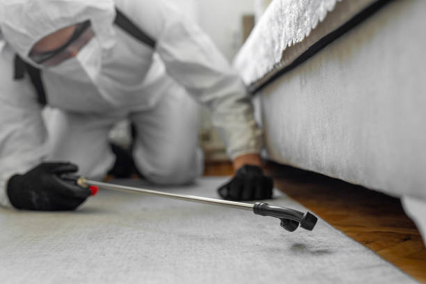 Professional Cockroach Control technician working in Benton, IL