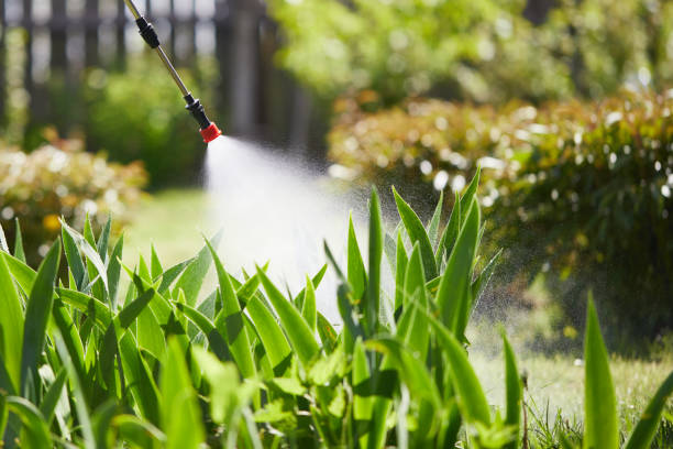 24/7 Emergency Cockroach Control experts in Benton, IL