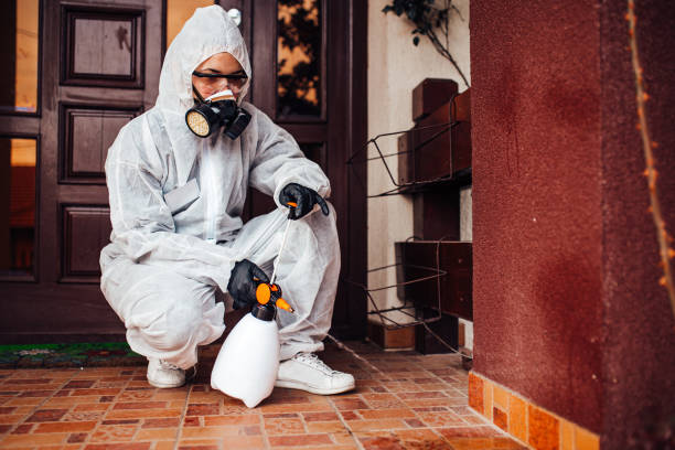 Reliable Cockroach Control contractor in Benton, IL by Nex Pest Control