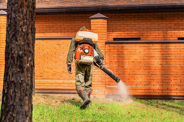 Top rated local Cockroach Control specialists in Benton, IL